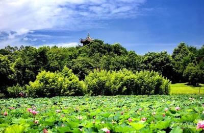 廣東2023年汽修學校熱門專業與連鎖店發展機遇